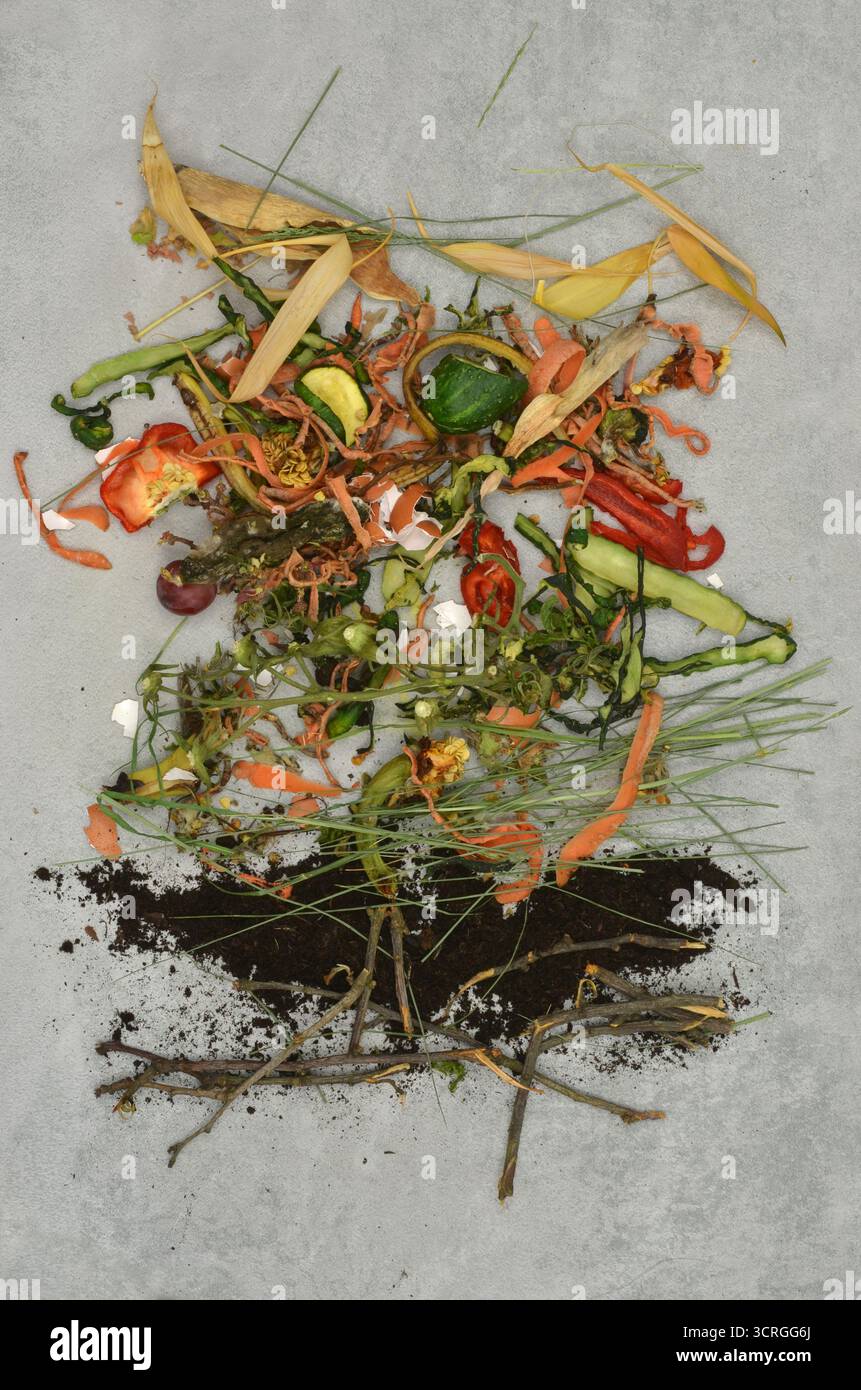 Présentation sur la façon de disposer les couches dans un composteur. Vue de dessus éducation environnementale et compostage. Banque D'Images