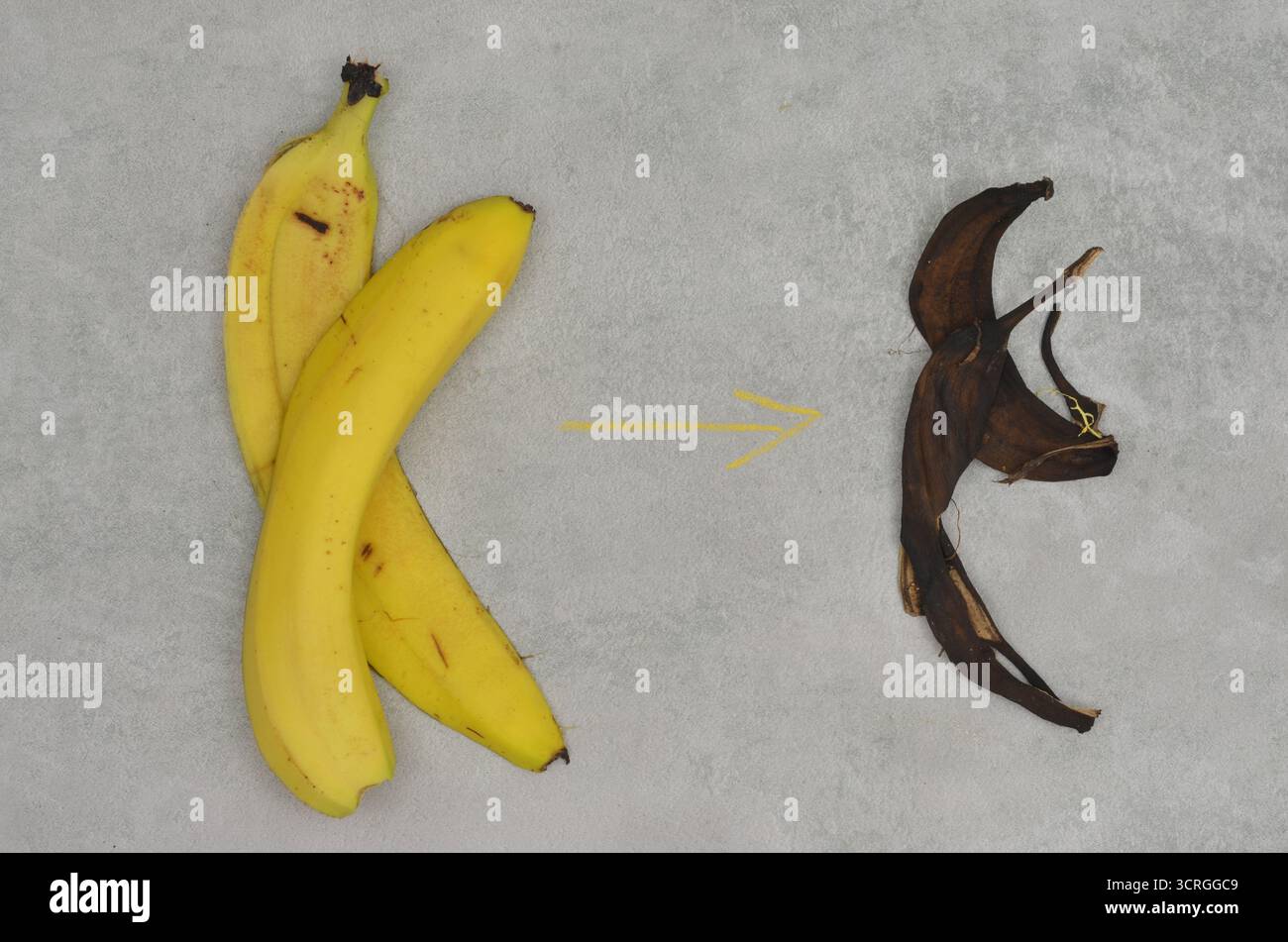 Vue de dessus étapes de décomposition des pelures de bananes et flèche jaune dessinée à la craie. Mode de vie écologique. partie 2 Banque D'Images