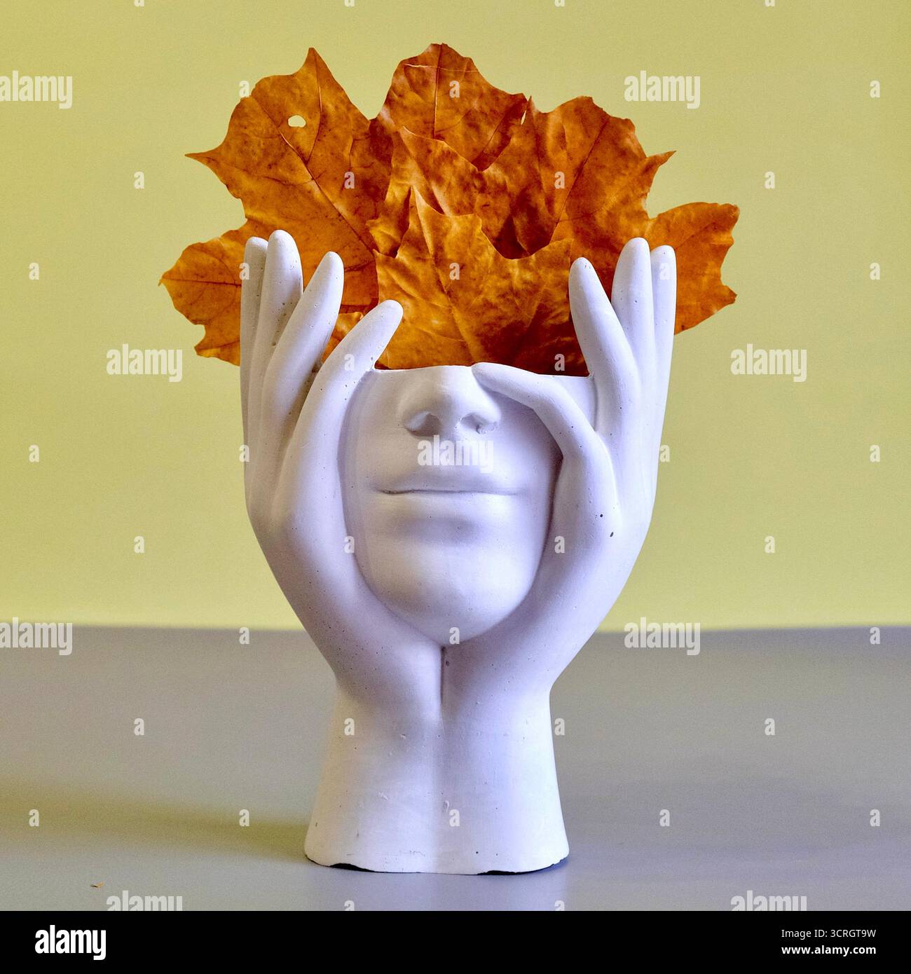 Vase blanc créatif en forme de tête humaine avec des feuilles d'automne, concept d'imagination et décoration de saison d'automne. Banque D'Images