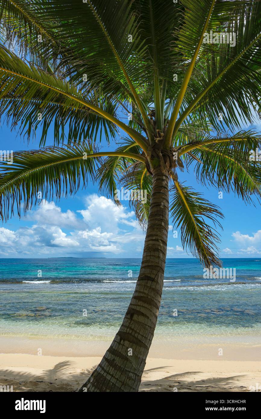 Corn Island, Nicaragua - 19 septembre 2025 : une plage à Corn Island, un archipel situé dans la mer des Caraïbes, Nicaragua. Banque D'Images