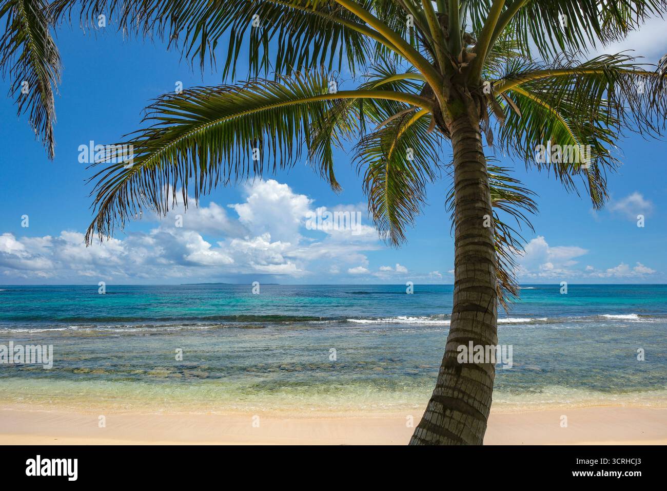 Corn Island, Nicaragua - 19 septembre 2025 : une plage à Corn Island, un archipel situé dans la mer des Caraïbes, Nicaragua. Banque D'Images