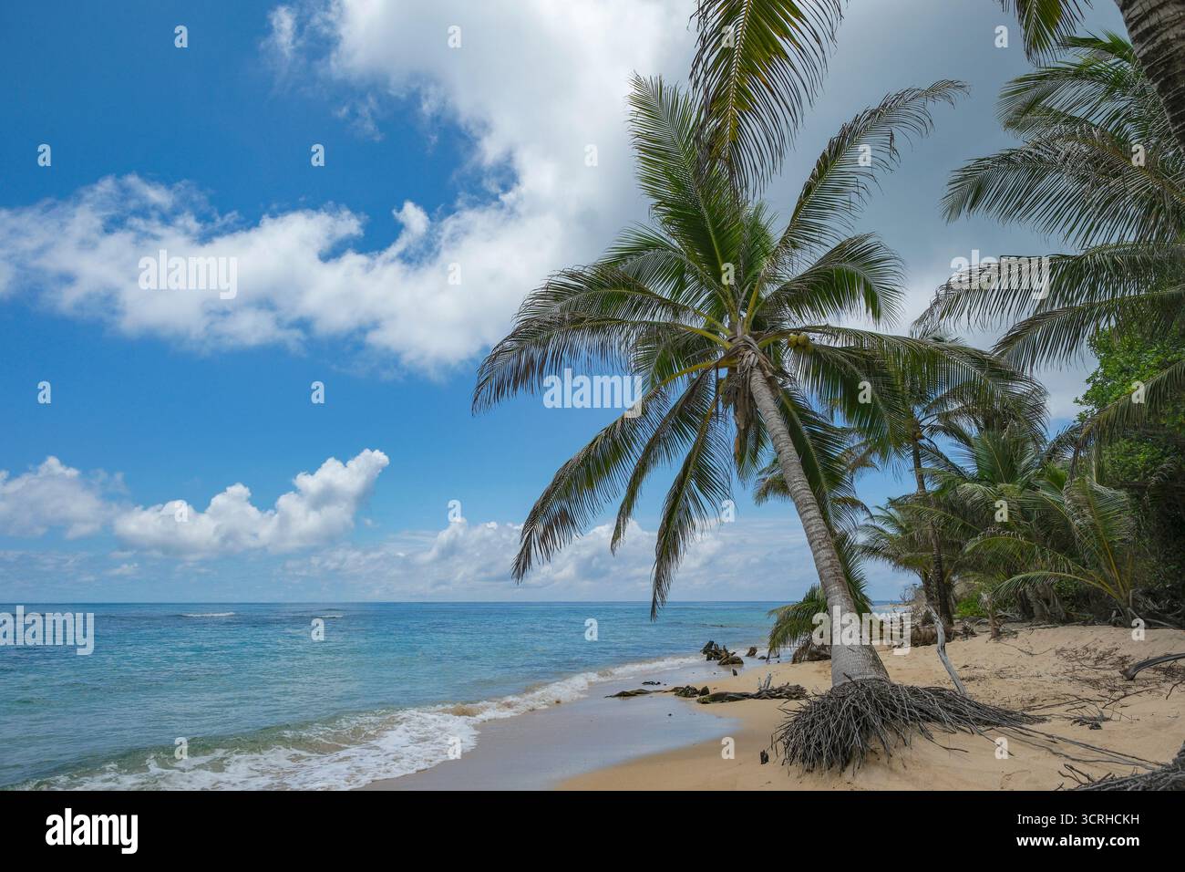 Corn Island, Nicaragua - 19 septembre 2025 : une plage à Corn Island, un archipel situé dans la mer des Caraïbes, Nicaragua. Banque D'Images