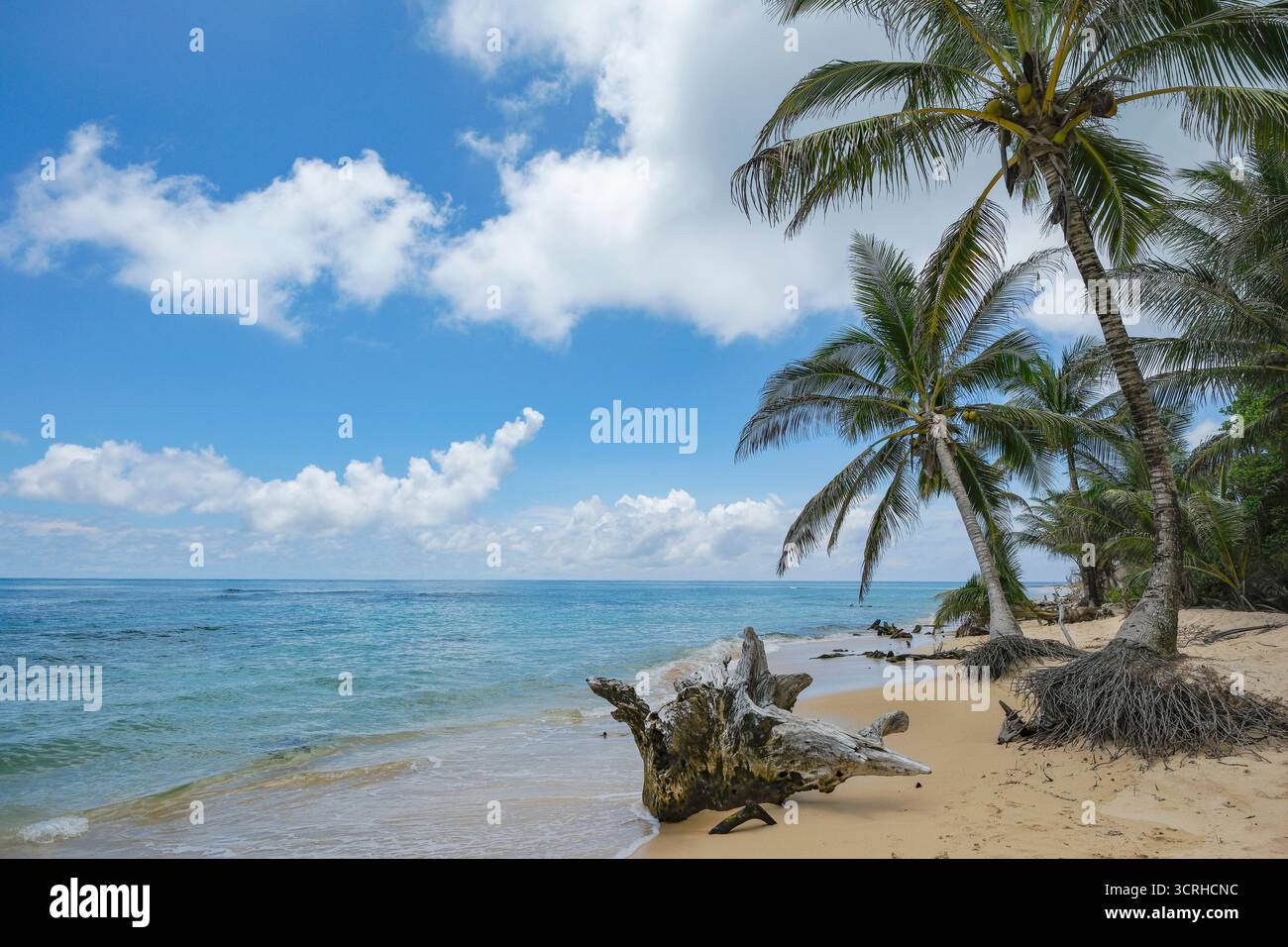 Corn Island, Nicaragua - 19 septembre 2025 : une plage à Corn Island, un archipel situé dans la mer des Caraïbes, Nicaragua. Banque D'Images