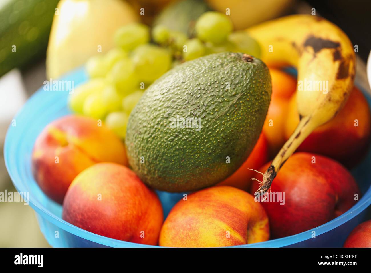 Avocat couché sur le dessus des fruits mélangés dans un bol bleu. Gros plan sur l'assortiment de fruits tropicaux. Concept de nutrition saine et de vitamines naturelles. Banque D'Images