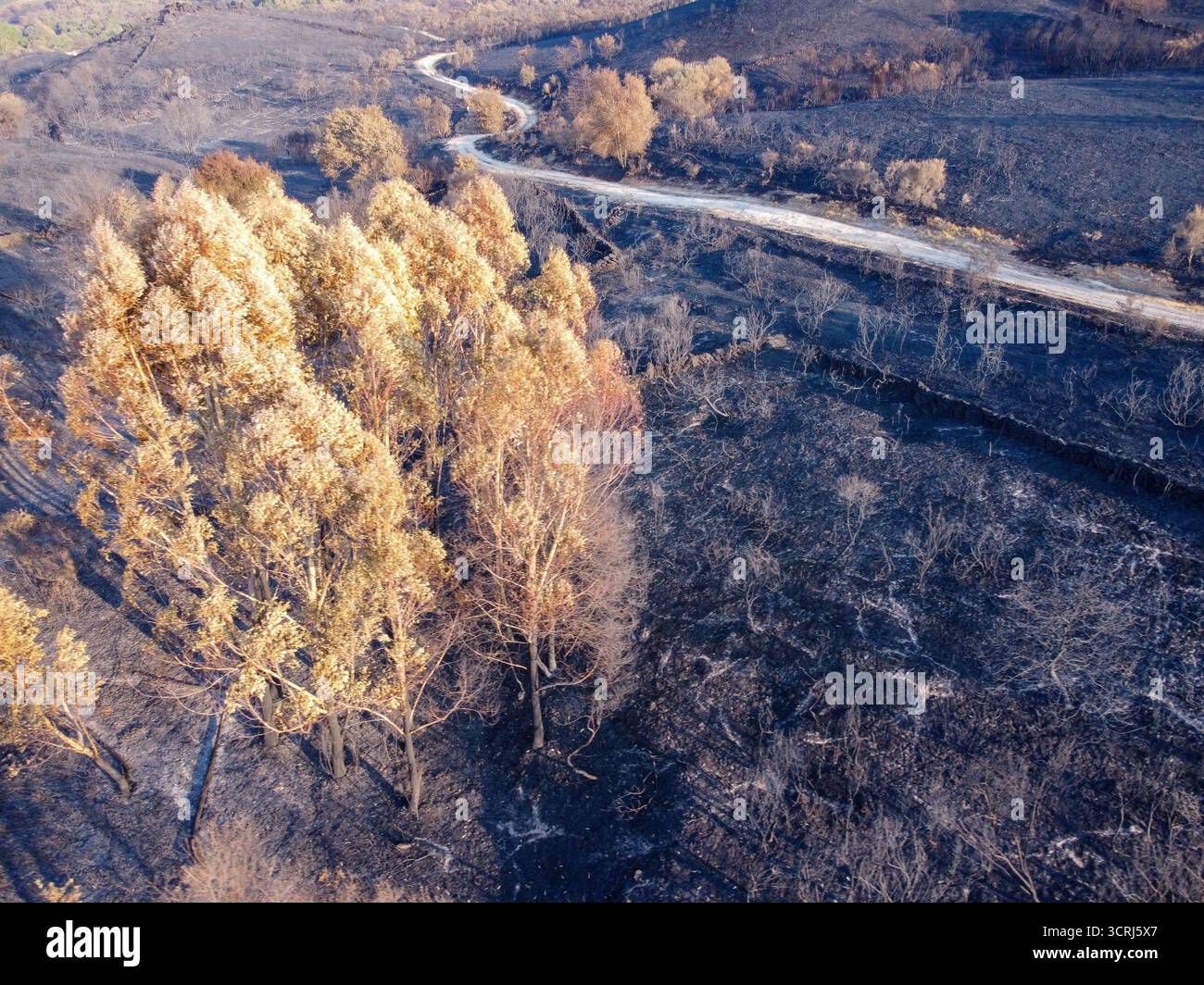 Le Stark contraste entre une vie et une destruction le concept d'une dualité Banque D'Images