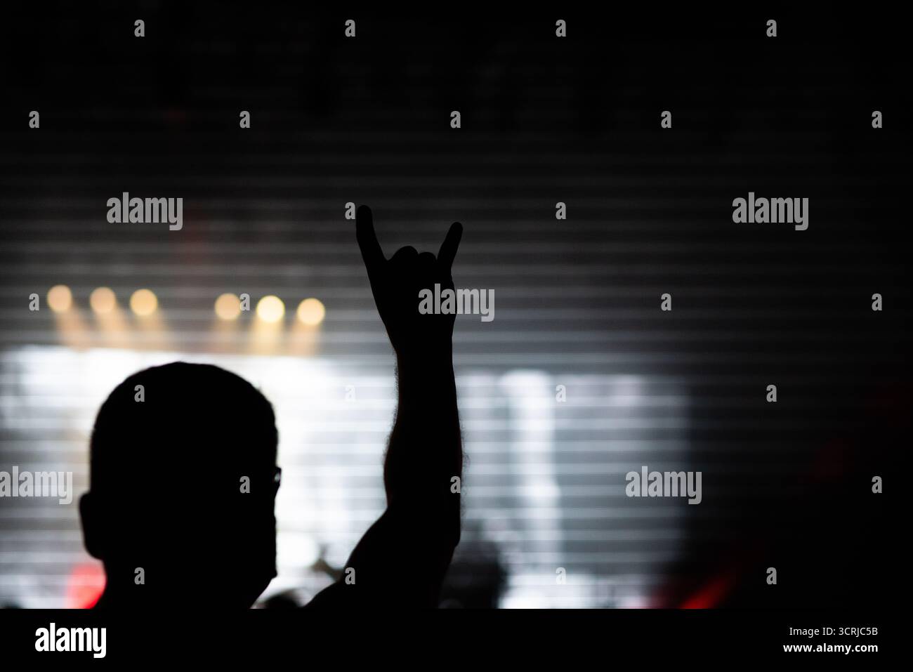 foule s'amuser au concert festival de musique d'été Banque D'Images