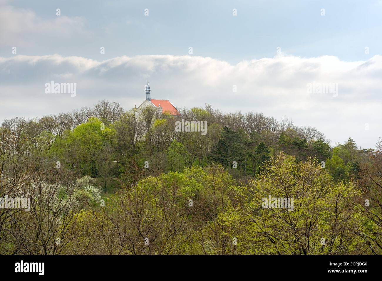 Sommet d'église dans une forêt sur une colline Banque D'Images