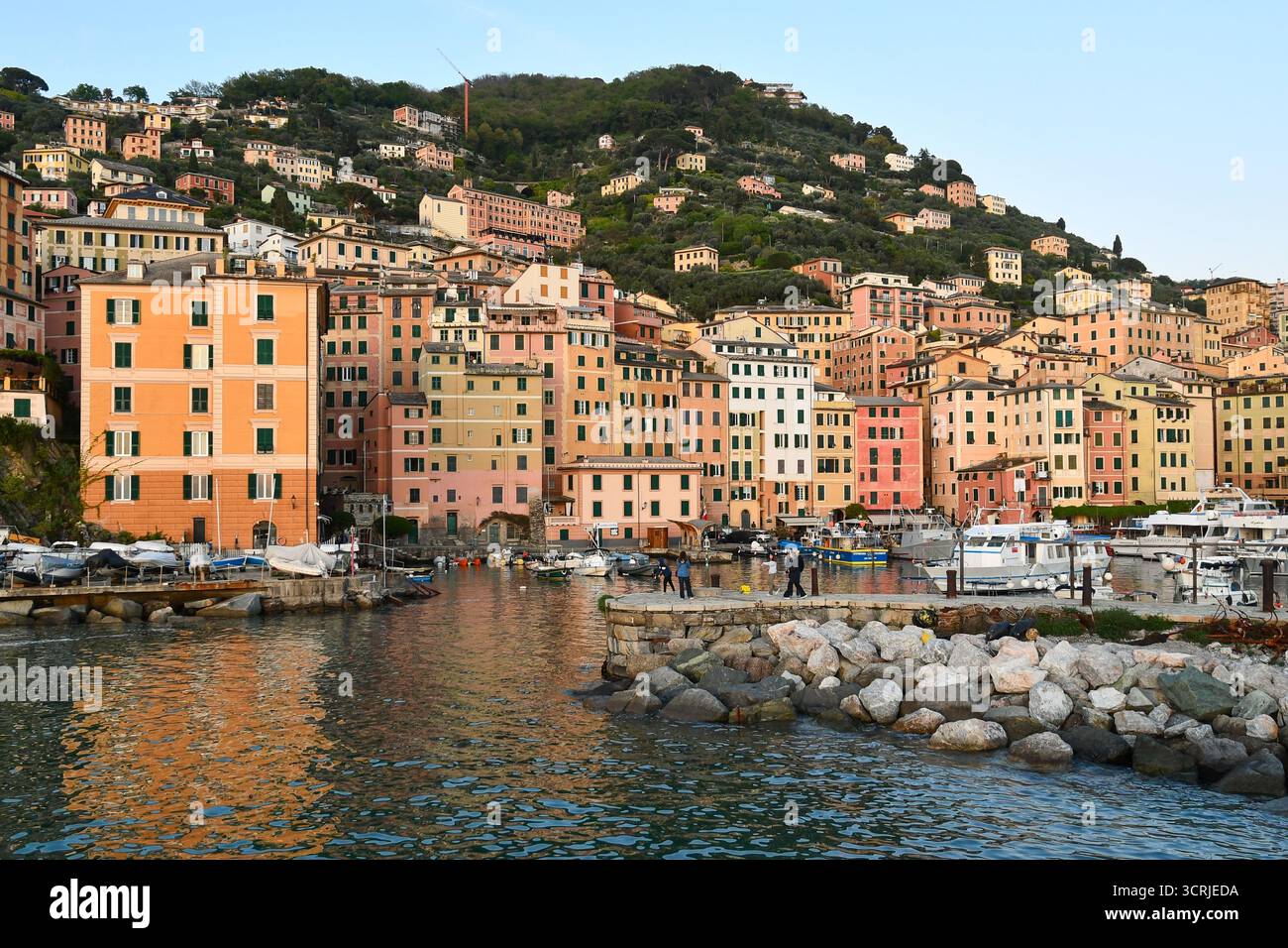 Vue sur le vieux village de pêcheurs, avec les bâtiments colorés donnant sur le petit port, au coucher du soleil, Camogli (Gênes), Ligurie, Italie Banque D'Images