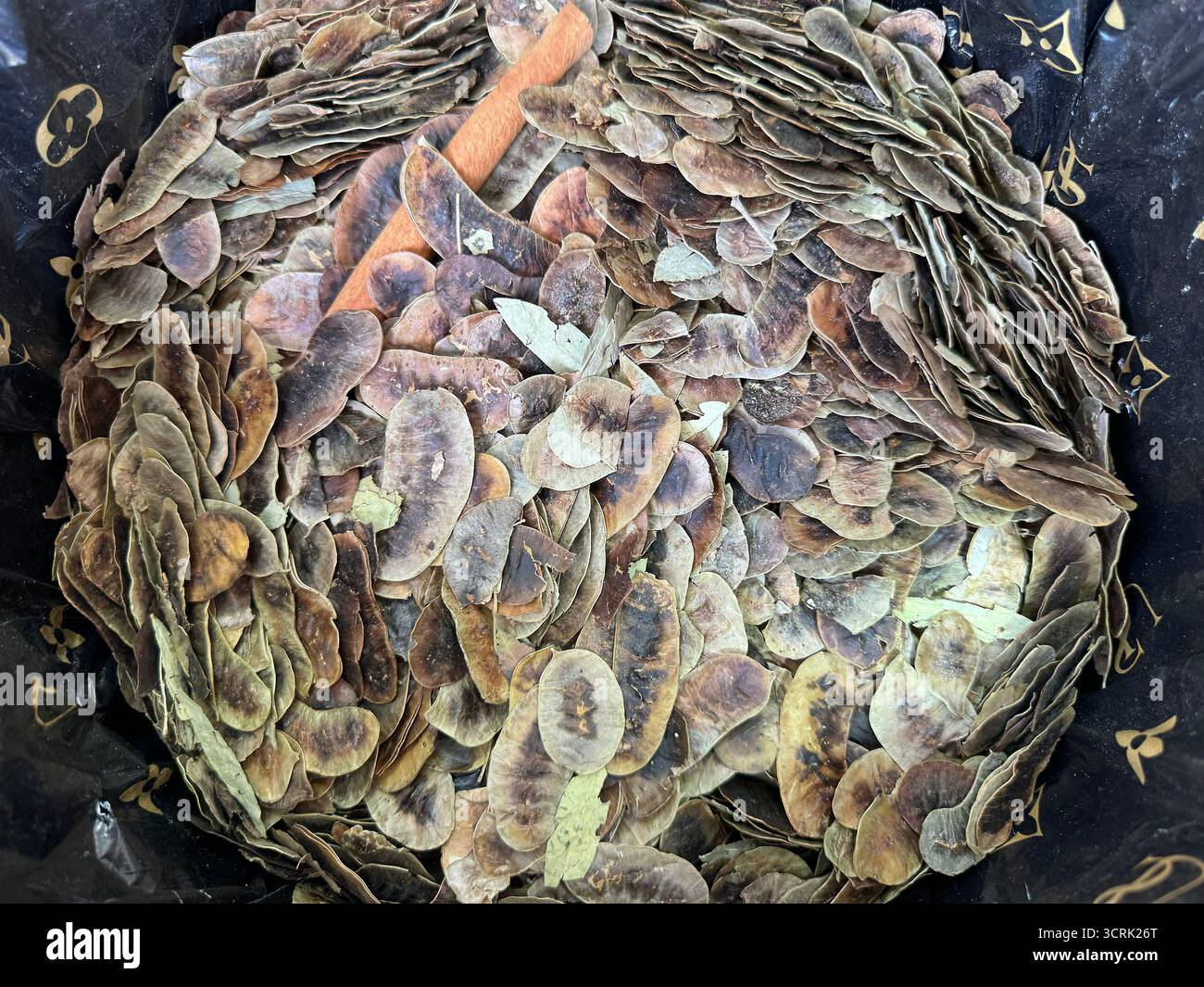 Gousses ou graines de tamarin séchées dans un récipient Banque D'Images