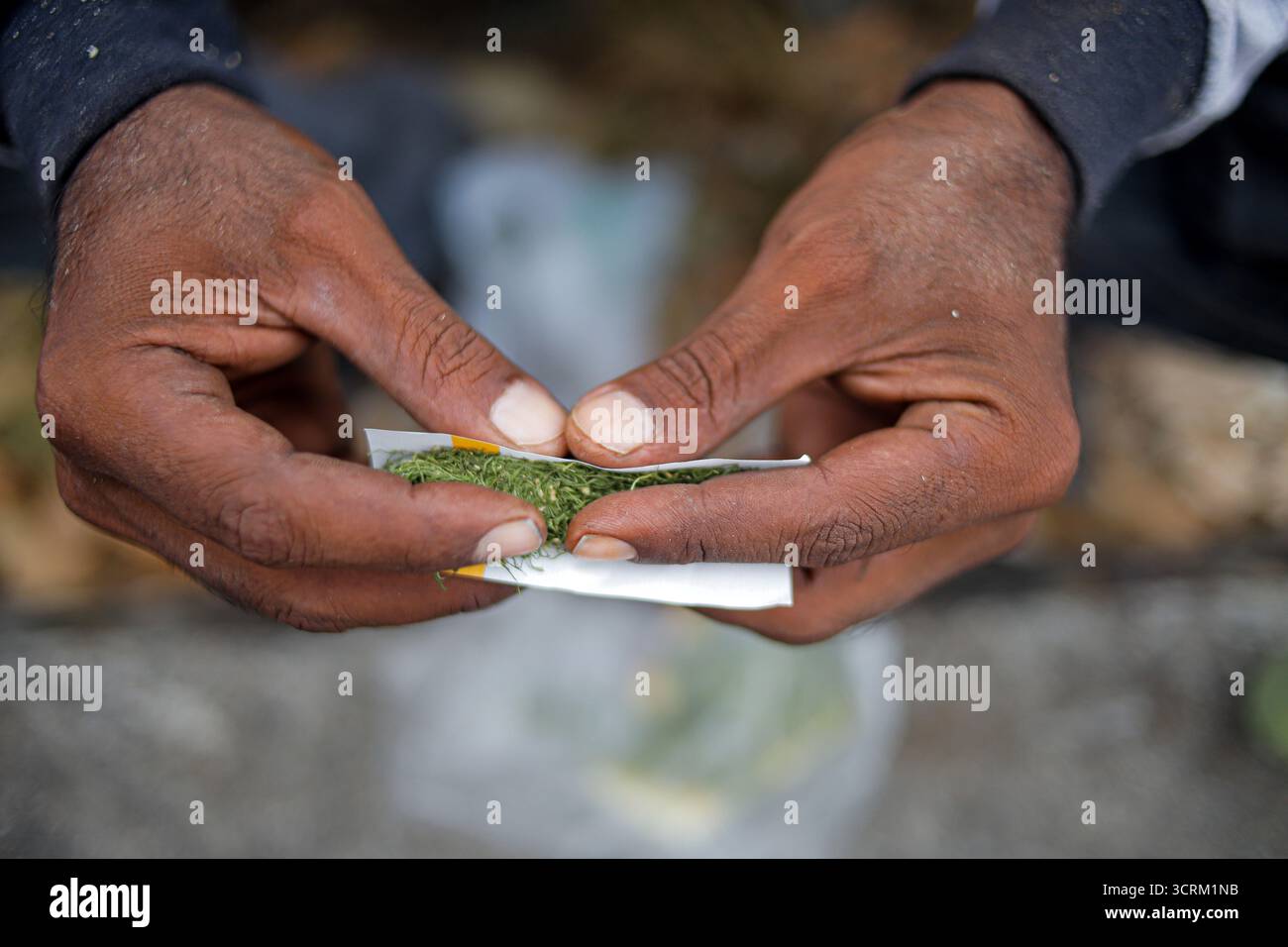 Gros plan de mains roulant une cigarette faite à la main à l'extérieur Banque D'Images Gros plan de mains roulant une cigarette faite à la main à l'extérieur Banque D'Images