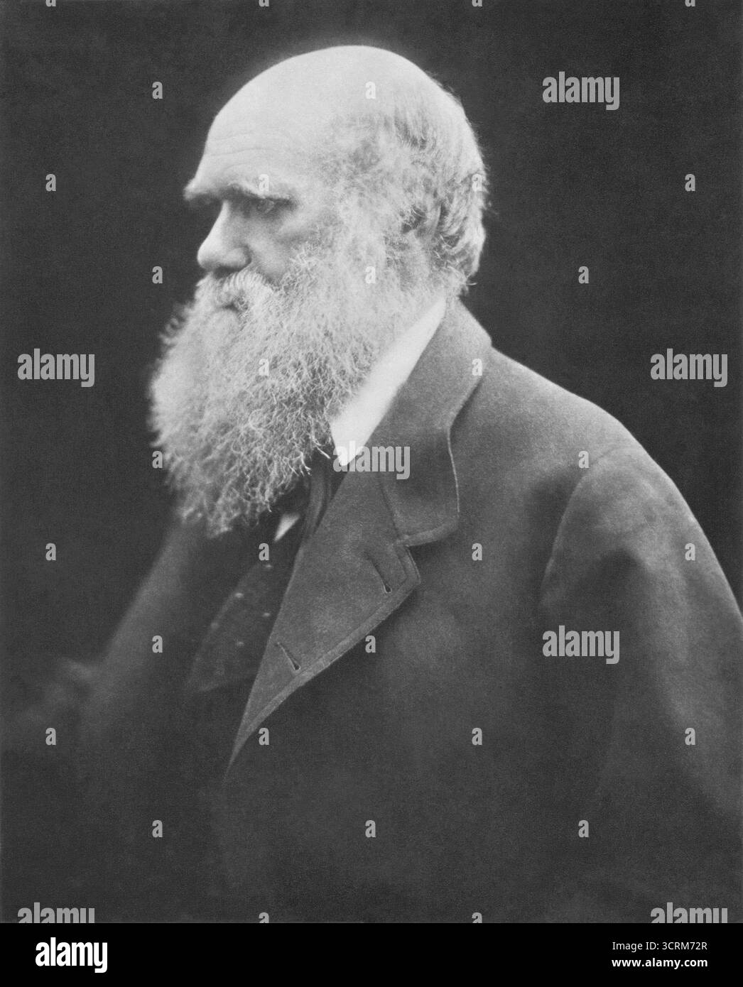 Julia Margaret Cameron - Charles Darwin - c.1868 Banque D'Images