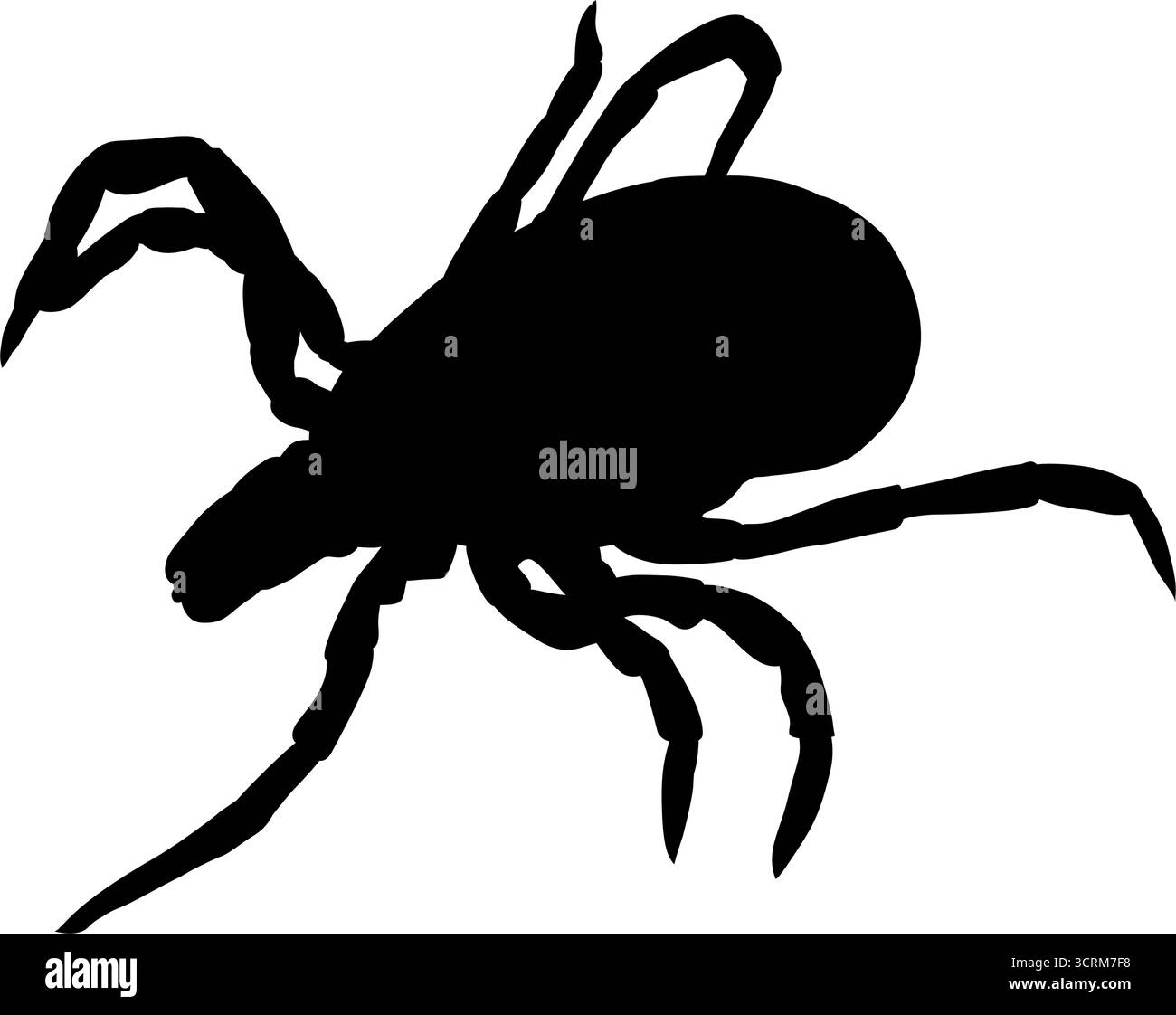 Illustration vectorielle de silhouette d'insecte de tique isolée sur blanc Illustration de Vecteur