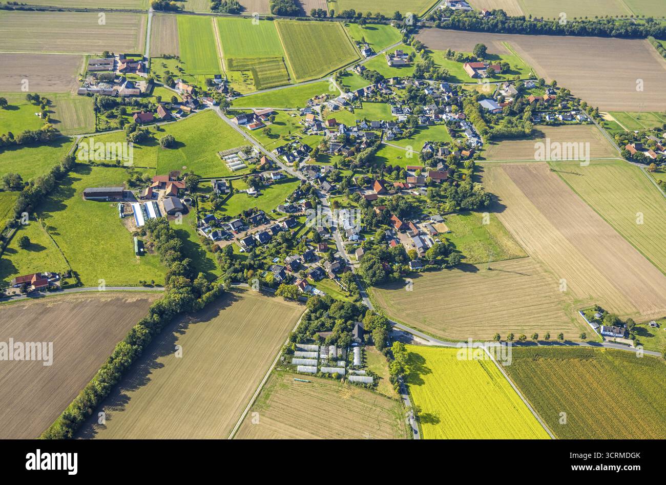 Vue aérienne, quartier résidentiel, vue locale, quartier d'Osttuennen, quartier de Rhynern, Hamm, Ruhr area, Rhénanie-du-Nord-Westphalie, Allemagne, DE, Europe, Banque D'Images
