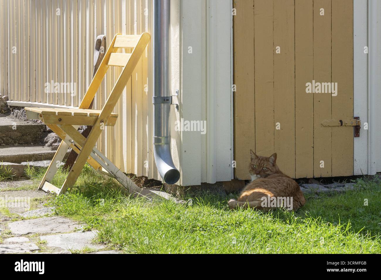 Chaise jaune devant un hangar jaune et blanc avec un chat couché devant, Fjaellbacka, Bohuslaen, Suède occidentale, Suède Banque D'Images