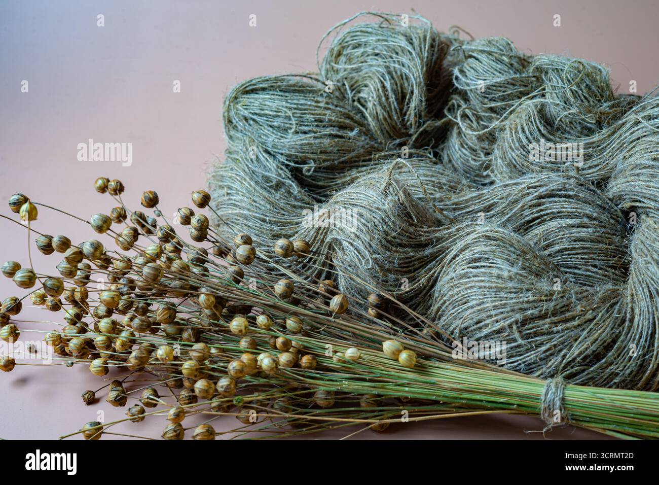 Lin séché et fils de lin . Gros plan. Banque D'Images