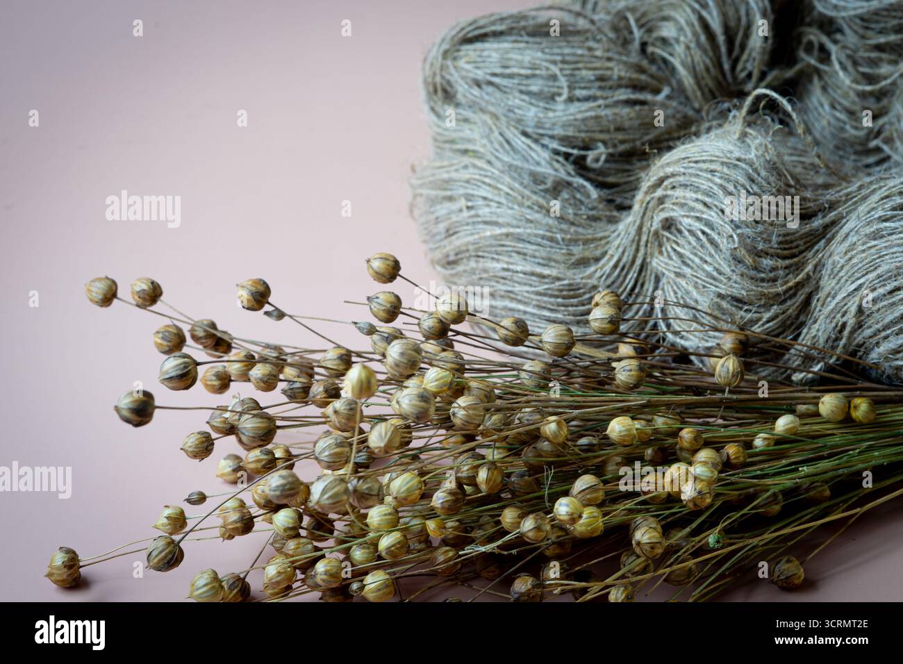Lin séché et fils de lin . Gros plan. Banque D'Images