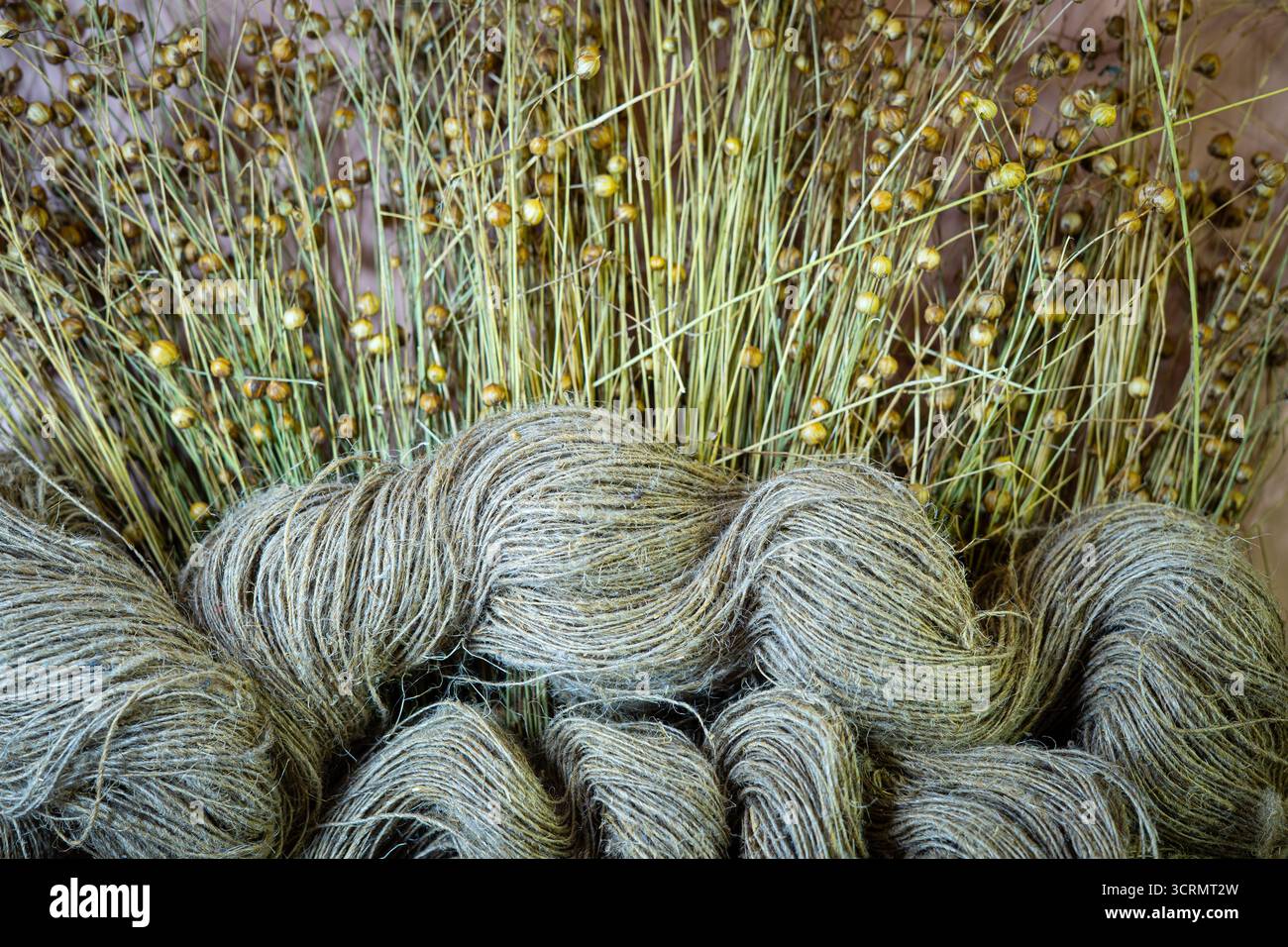 Lin séché et fils de lin . Gros plan. Banque D'Images