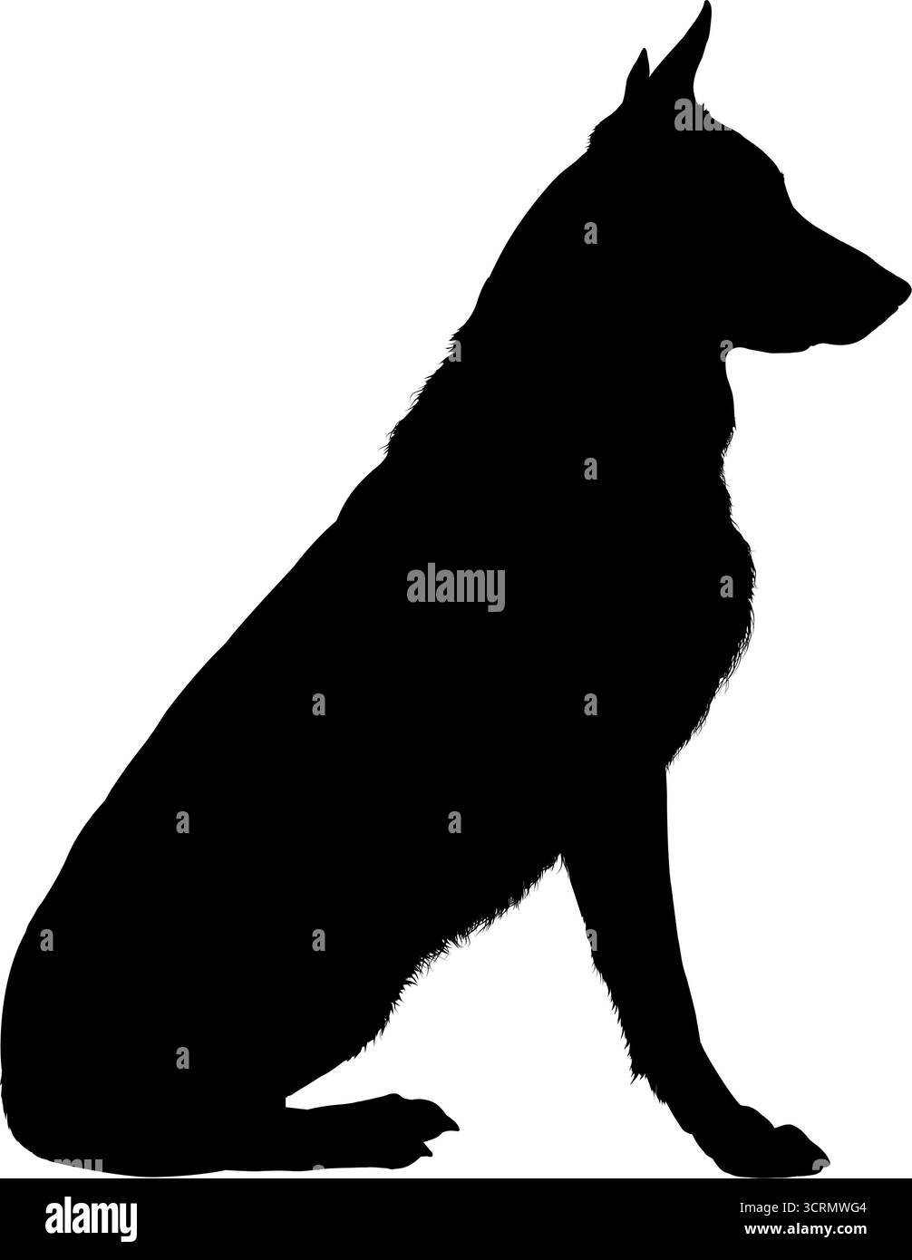 Chien berger allemand animal silhouette noire Illustration de Vecteur