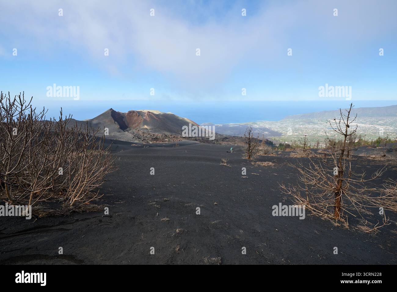La Palma Tajogaite-Vulkan Tajogaite-Vulkan auf la Palma. Der Tajogaite-Vulkan entstand durch einen fast dreimonatigen Vulkanausbruch von September bis Dezember 2021. Durch den Vulkanausbruch wurde eine grosse Zahl von Haeusern in Doerfern und Siedlungen der Gemeinden El Paso, Los Llanos de Aridane und Tazacorte zerstoert und weite Teile landwirtschaftlich genutzter Flaeche mit Lava und Asche bedeckt. Mittlerweile darf in einem Teil der Gegend um den Vulkan in Begleitung von orts- und fachkundiger Leitung wieder gewandert werden, wenn die Gaskonzentration in der Gegend gering ist. IM Bild : verbe Banque D'Images