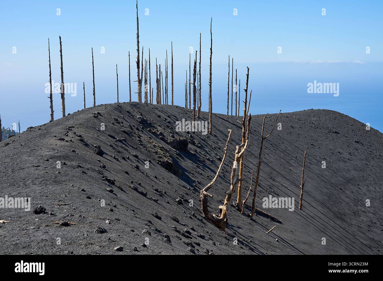 La Palma Tajogaite-Vulkan Tajogaite-Vulkan auf la Palma. Der Tajogaite-Vulkan entstand durch einen fast dreimonatigen Vulkanausbruch von September bis Dezember 2021. Durch den Vulkanausbruch wurde eine grosse Zahl von Haeusern in Doerfern und Siedlungen der Gemeinden El Paso, Los Llanos de Aridane und Tazacorte zerstoert und weite Teile landwirtschaftlich genutzter Flaeche mit Lava und Asche bedeckt. Mittlerweile darf in einem Teil der Gegend um den Vulkan in Begleitung von orts- und fachkundiger Leitung wieder gewandert werden, wenn die Gaskonzentration in der Gegend gering ist. IM Bild : verbe Banque D'Images