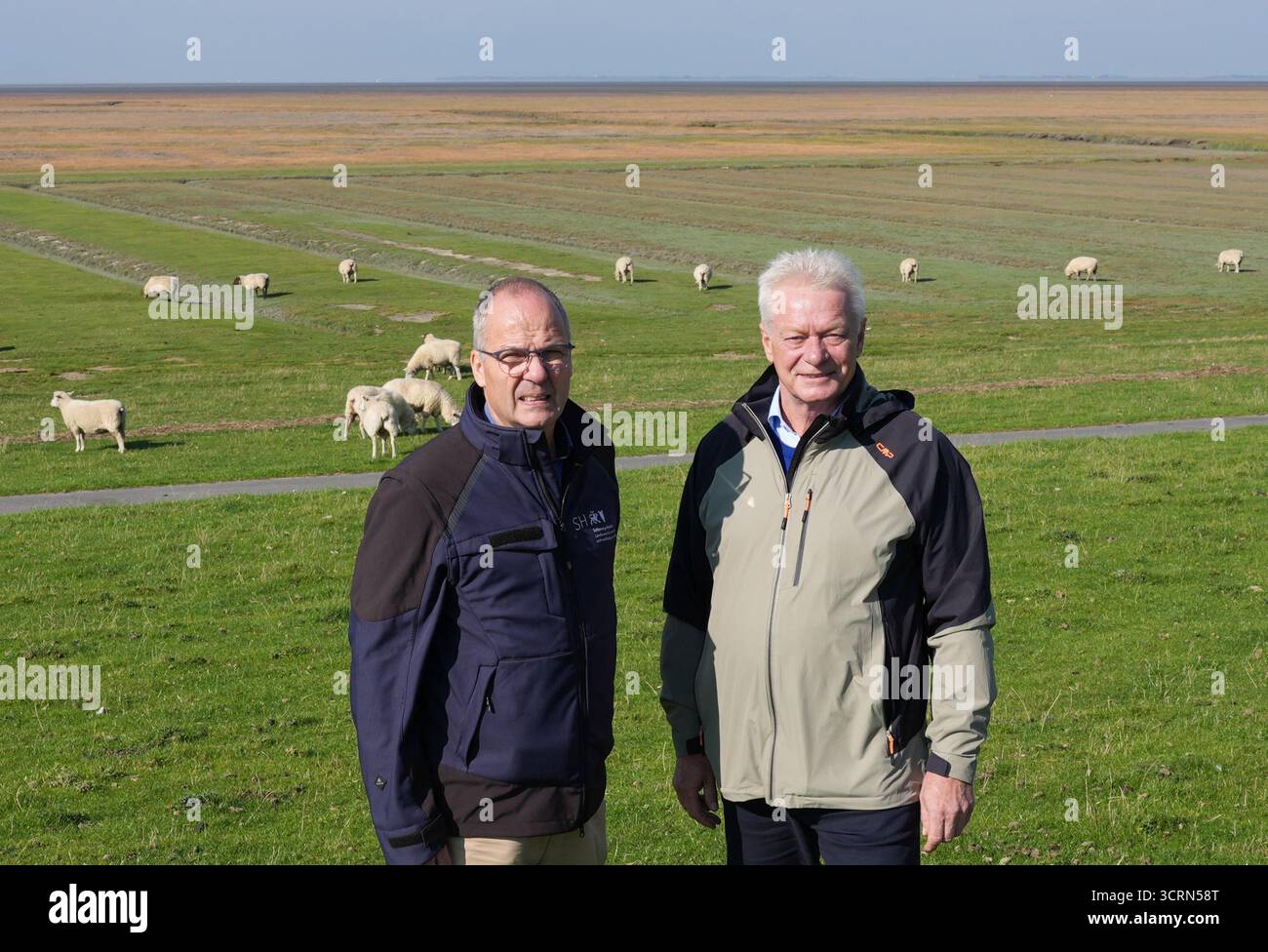 Hillgroven, Allemagne. 02 octobre 2025. Alois Rainer (R, CSU), ministre fédéral de l'Agriculture, de l'alimentation et des Affaires intérieures, est en compagnie de Werner Schwarz (CDU), ministre de l'Agriculture, des espaces ruraux, de l'Europe et de la protection des consommateurs, sur la digue de la côte de la mer du Nord lors d'une visite à l'élevage ovin de la digue Hinz. Rainer a été informé de l'élevage d'ovins et de caprins, de la maladie de la fièvre catarrhale du mouton, du Fonds pour les maladies animales du Schleswig-Holstein et de la situation actuelle du loup. Crédit : Marcus Brandt/dpa/Alamy Live News Banque D'Images