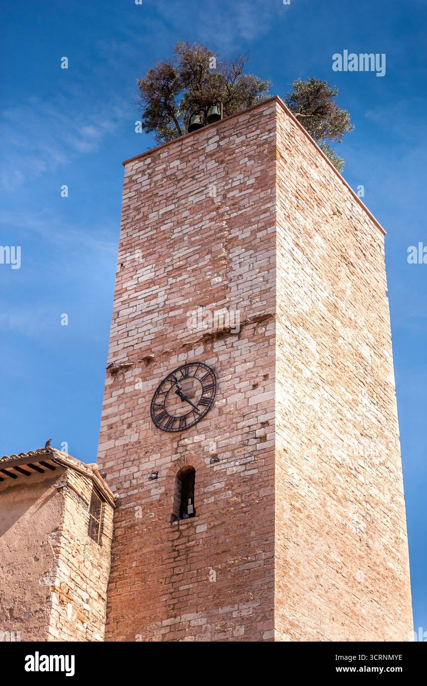 Vue pittoresque de Spello, une ville médiévale en Ombrie près de Pérouse, en Italie, célèbre pour son architecture historique, ses ruelles étroites, ses maisons en pierre et son commerce Banque D'Images