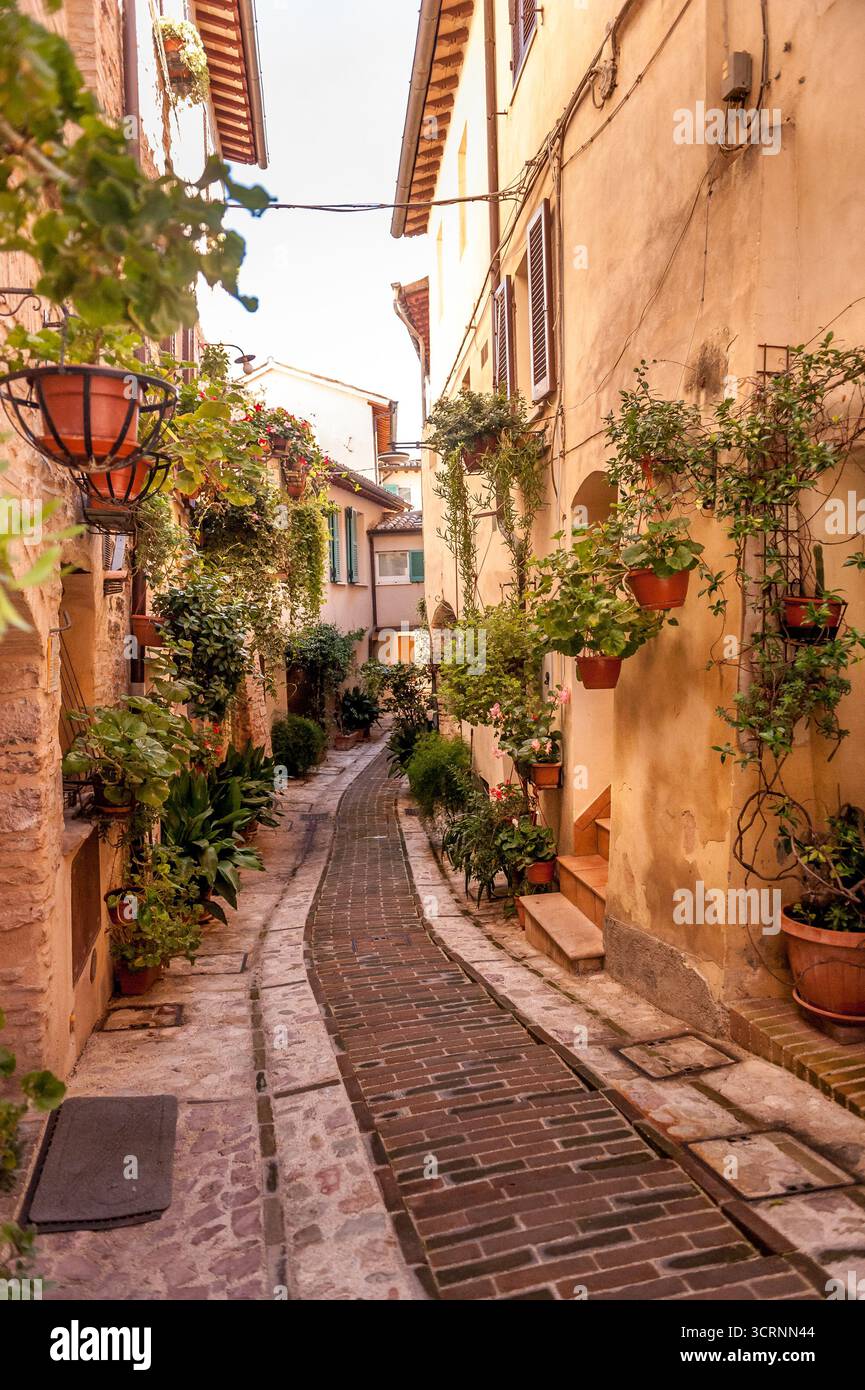 Vue pittoresque de Spello, une ville médiévale en Ombrie près de Pérouse, en Italie, célèbre pour son architecture historique, ses ruelles étroites, ses maisons en pierre et son commerce Banque D'Images