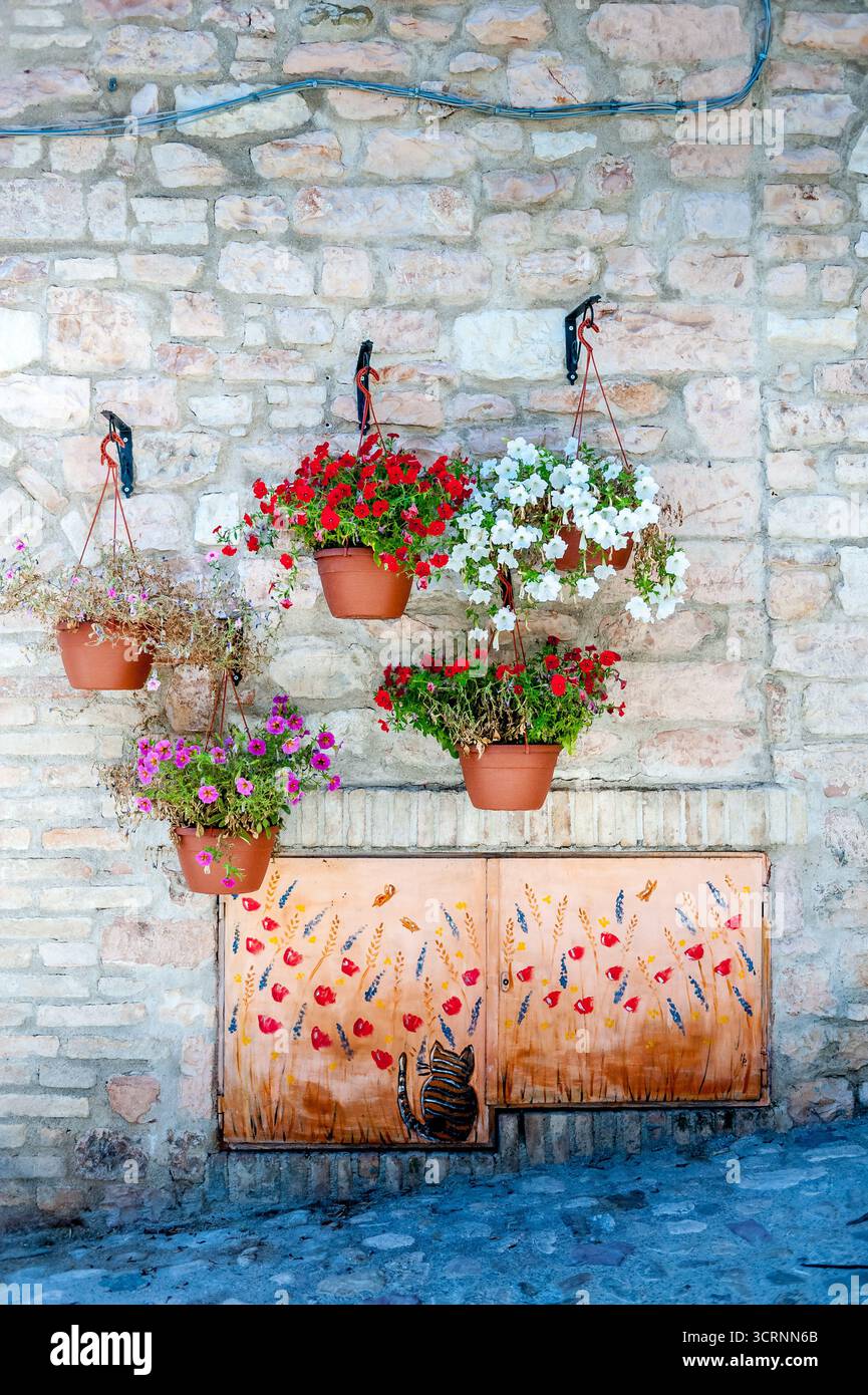 Vue pittoresque de Spello, une ville médiévale en Ombrie près de Pérouse, en Italie, célèbre pour son architecture historique, ses ruelles étroites, ses maisons en pierre et son commerce Banque D'Images