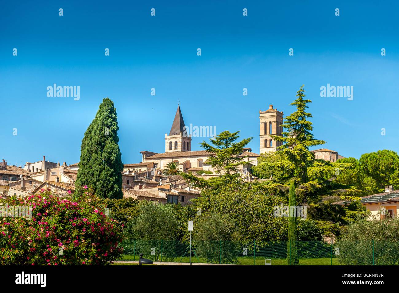 Vue pittoresque de Spello, une ville médiévale en Ombrie près de Pérouse, en Italie, célèbre pour son architecture historique, ses ruelles étroites, ses maisons en pierre et son commerce Banque D'Images