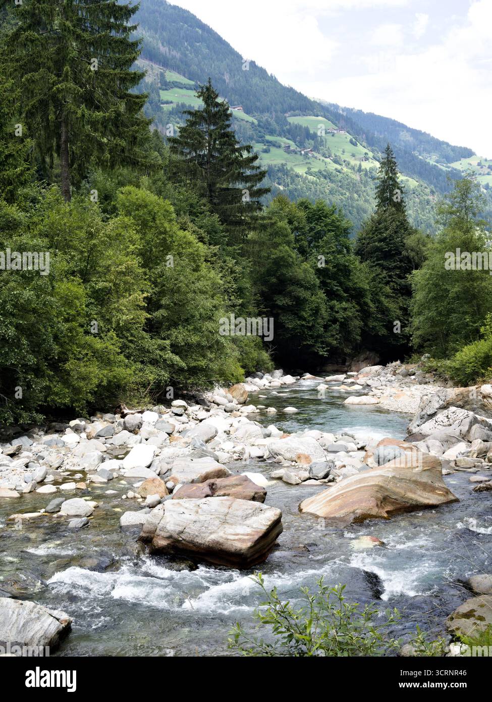 Rivière alpine sauvage Passiria coulant à travers les rochers et la forêt dans le Tyrol du Sud, Italie. Ruisseau de montagne dans un paysage pittoresque de vallée alpine. Banque D'Images