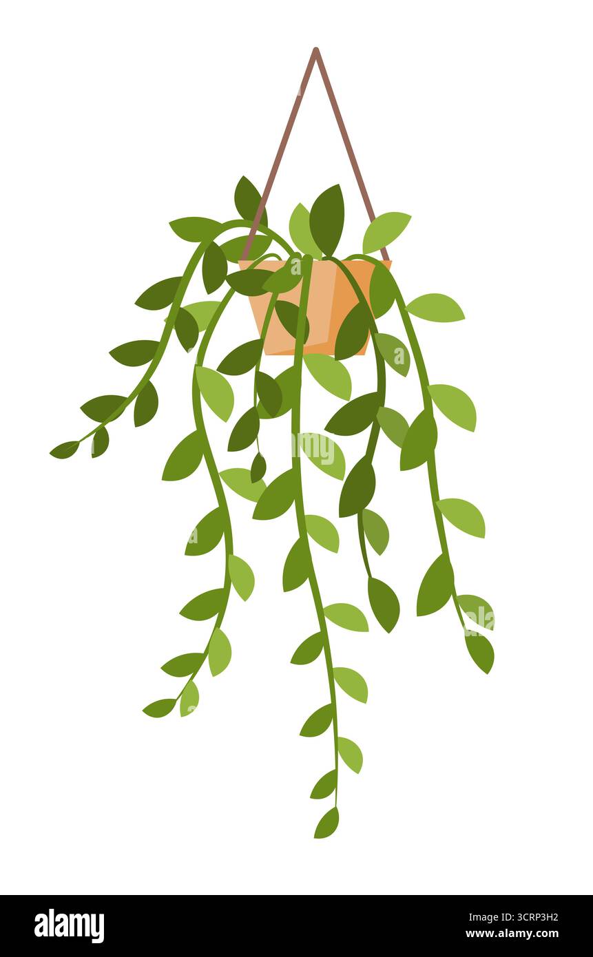 Illustration d'une plante suspendue en pot avec des feuilles vertes traînantes. Parfait pour la décoration à la maison, jardinage d'intérieur. Vecteur non généré par IA Banque D'Images