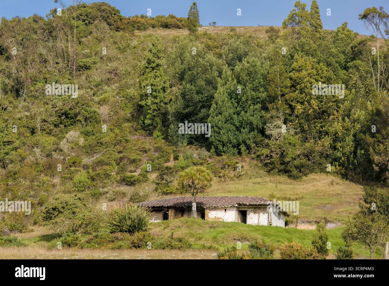 Une ancienne ferme traditionnelle abandonnée à flanc de colline en dessous d'une forêt, dans les hautes montagnes près du village de Cucaita, dans les Andes orientales Banque D'Images
