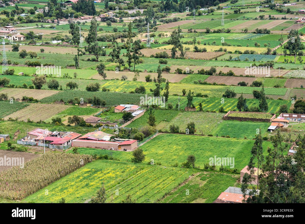 Vue rustique pittoresque sur les champs agricoles et le paysage rural traditionnel à Ollantaytambo, situé dans la vallée sacrée des Incas, Pérou. Banque D'Images
