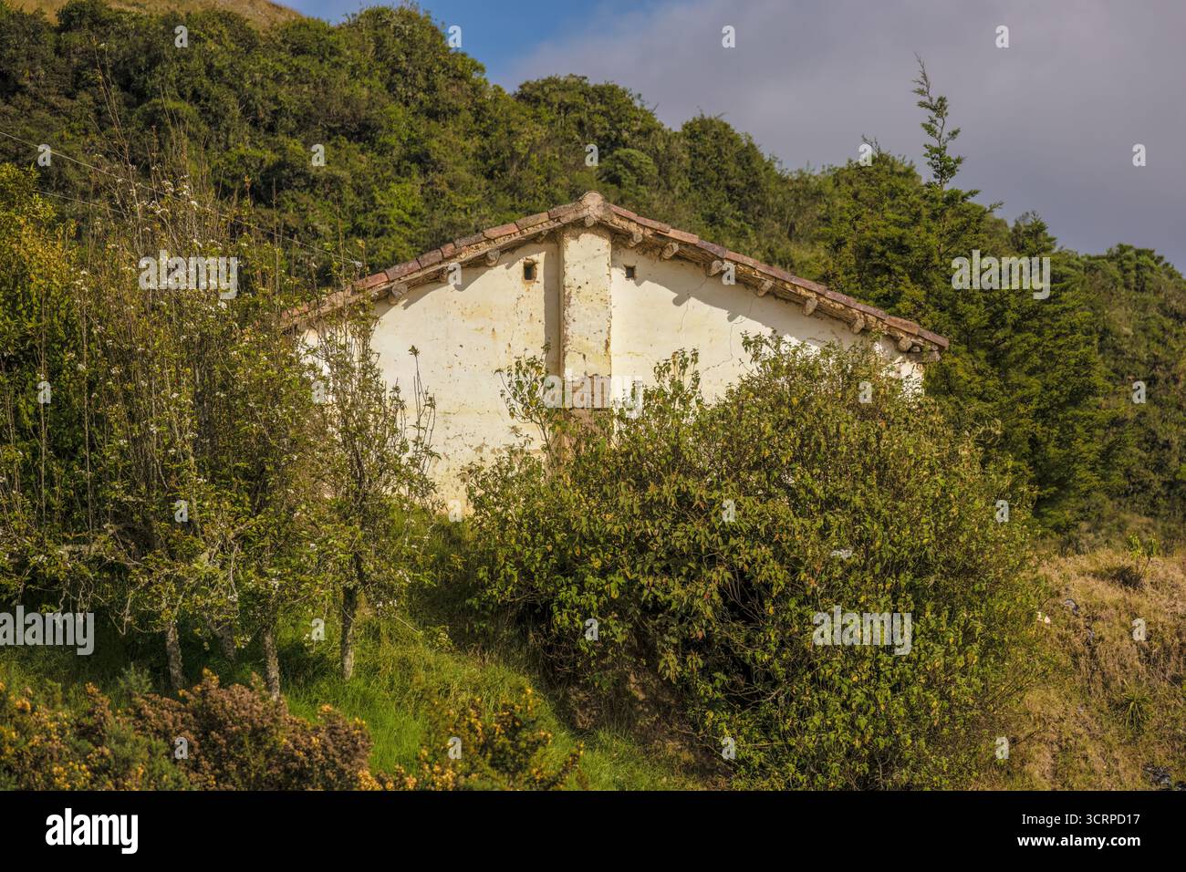 Un mur latéral d'une ferme abandonnée avec deux petites fenêtres en haut, dans la haute montagne près du village de Cucaita Banque D'Images