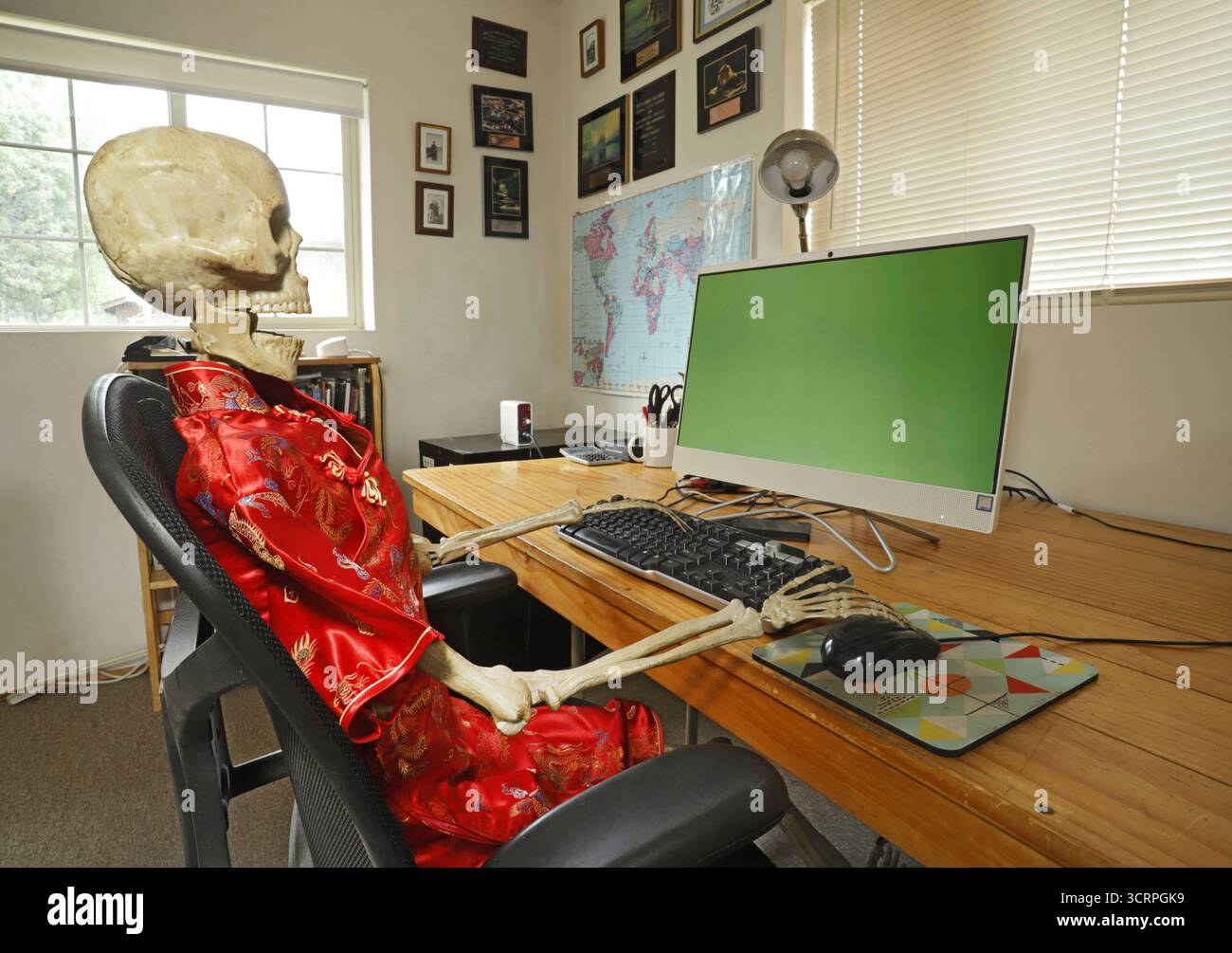 Un squelette humain devant un bureau et un ordinateur, illustrant ce qui arrive aux gens quand ils passent trop de temps câblés sur Internet. Banque D'Images