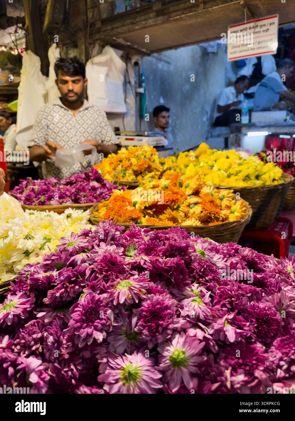 Exposition vibrante de fleurs colorées, y compris des variétés violettes, jaunes, oranges et blanches disposées dans des paniers dans un marché aux fleurs indien traditionnel. Banque D'Images Exposition vibrante de fleurs colorées, y compris des variétés violettes, jaunes, oranges et blanches disposées dans des paniers dans un marché aux fleurs indien traditionnel. Banque D'Images