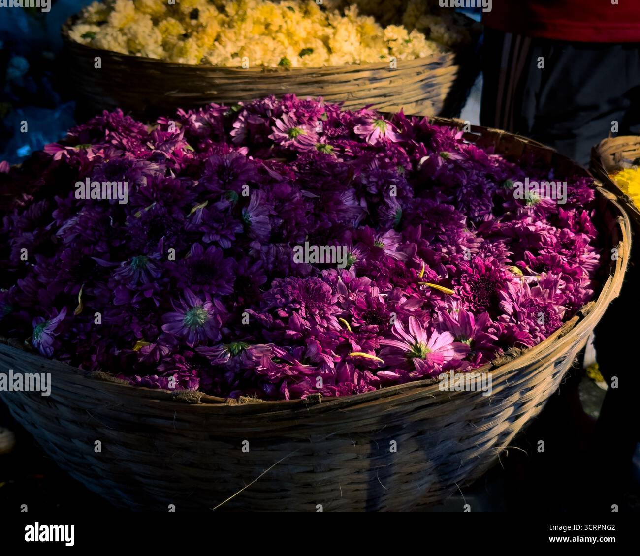 Exposition vibrante de fleurs colorées, y compris des variétés violettes, jaunes, oranges et blanches disposées dans des paniers dans un marché aux fleurs indien traditionnel. Banque D'Images Exposition vibrante de fleurs colorées, y compris des variétés violettes, jaunes, oranges et blanches disposées dans des paniers dans un marché aux fleurs indien traditionnel. Banque D'Images