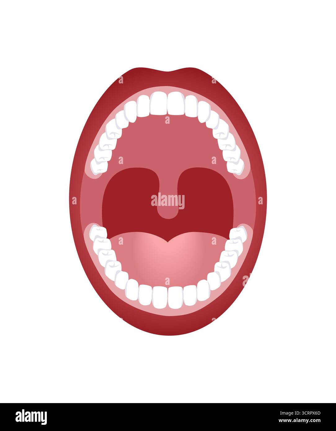 Bouche humaine grande ouverte, montrant les dents et la gorge. Banque D'Images