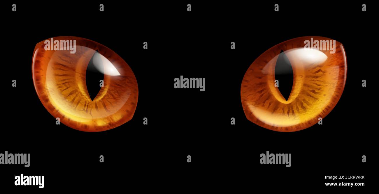 Une paire d'yeux félins stylisés avec des pupilles fendues verticales, dans des tons riches ambre et or sur un fond noir. Les iris affichent des textures complexes, w Illustration de Vecteur
