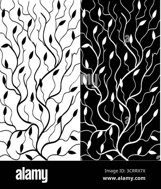 Le noir et blanc floral background Illustration de Vecteur