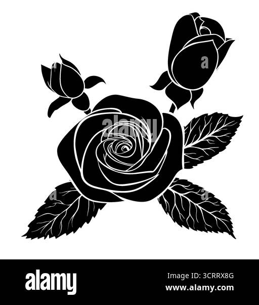 Belle rose monochrome noire et blanche isolée sur fond blanc Illustration de Vecteur