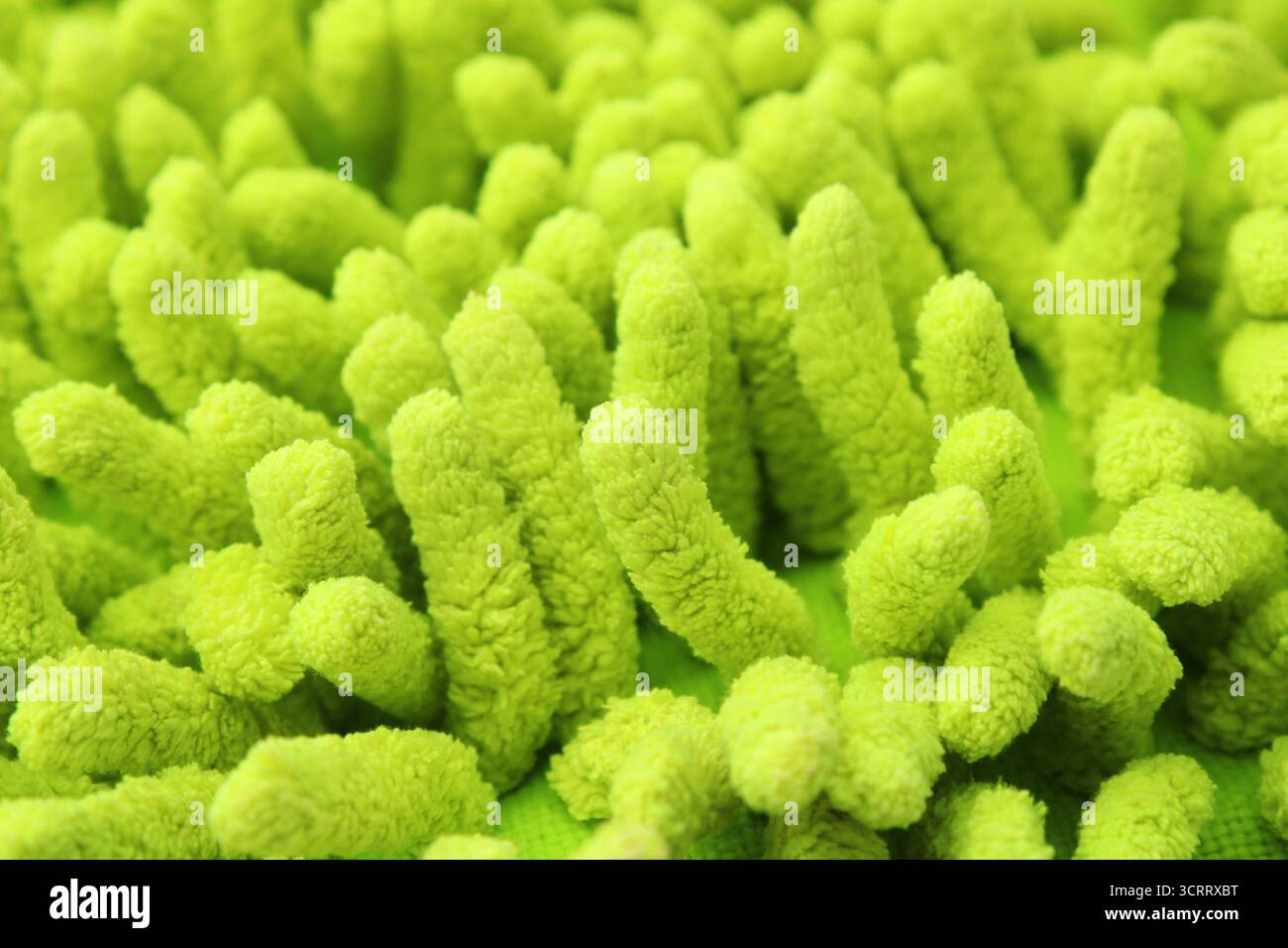 Surface de moquette verte texturée douce Banque D'Images