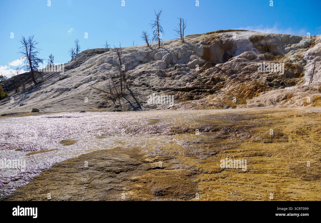 Palette Spring, Mammoth Hot Springs, parc national de Yellowstone, Wyoming, États-Unis Banque D'Images