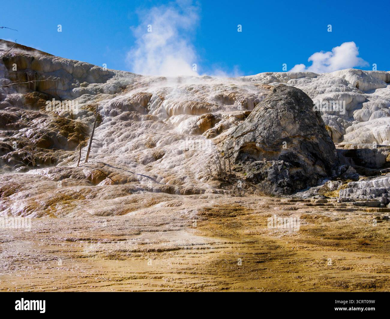 Palette Spring, Mammoth Hot Springs, parc national de Yellowstone, Wyoming, États-Unis Banque D'Images