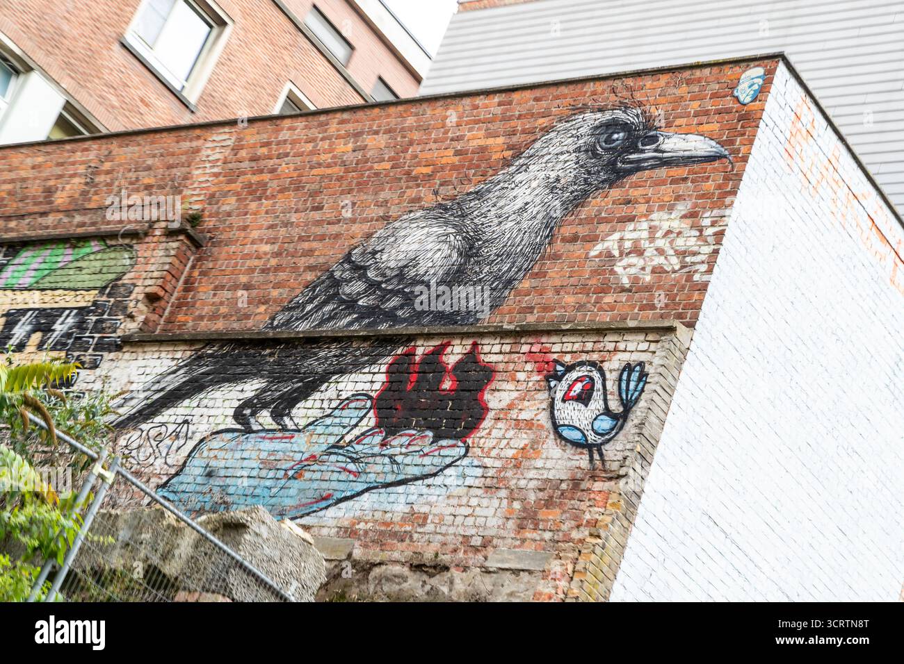 Œuvre de l'artiste de Gand Roa, typiquement en noir et blanc, Roa, crée de grandes œuvres d'oiseaux. Gand, Belgique. Banque D'Images