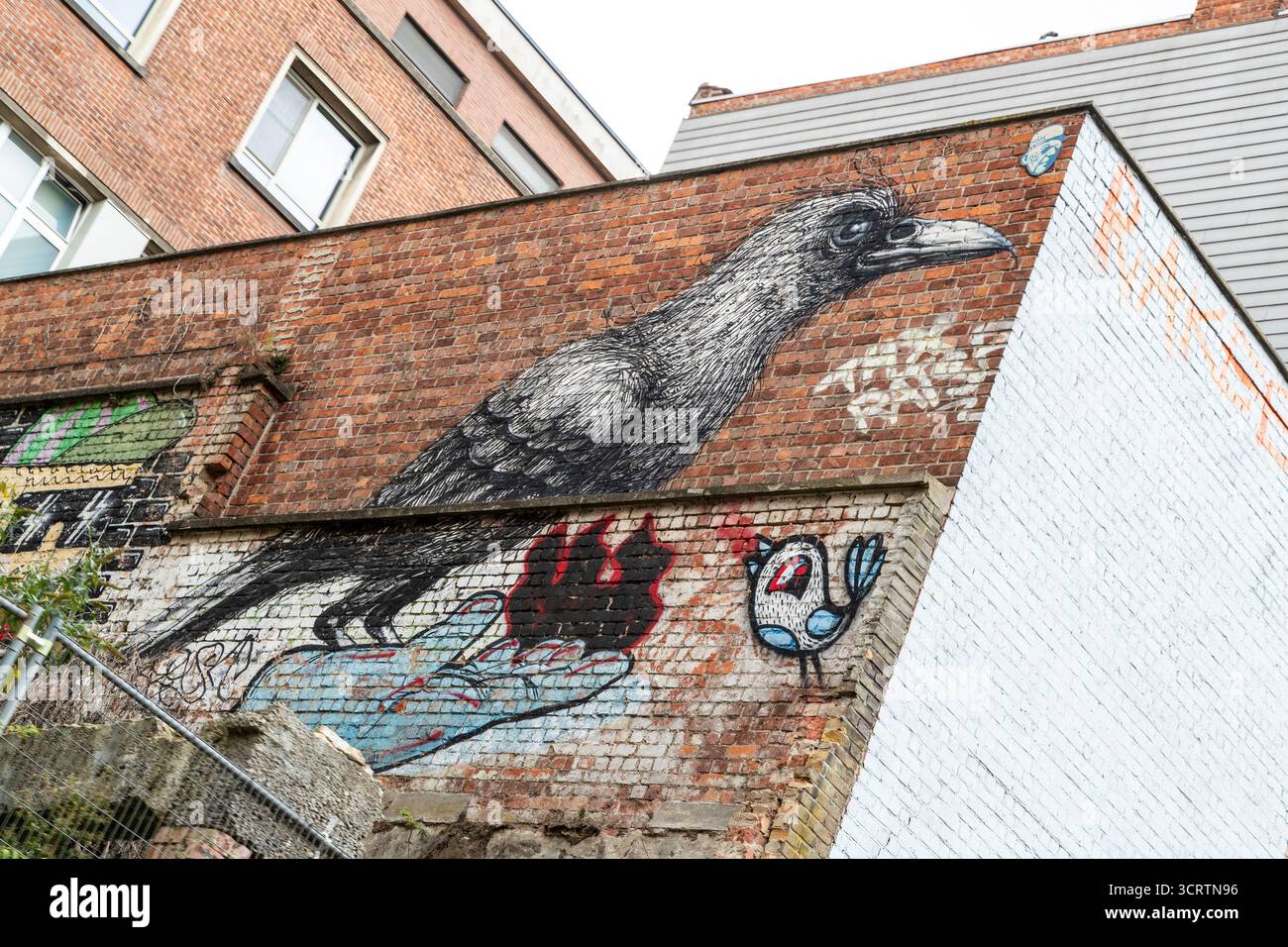 Œuvre de l'artiste de Gand Roa, typiquement en noir et blanc, Roa, crée de grandes œuvres d'oiseaux. Gand, Belgique. Banque D'Images