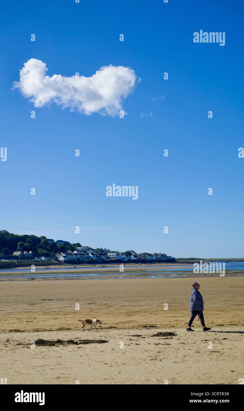 Un seul nuage dans un ciel bleu, Appledoore Devon Banque D'Images