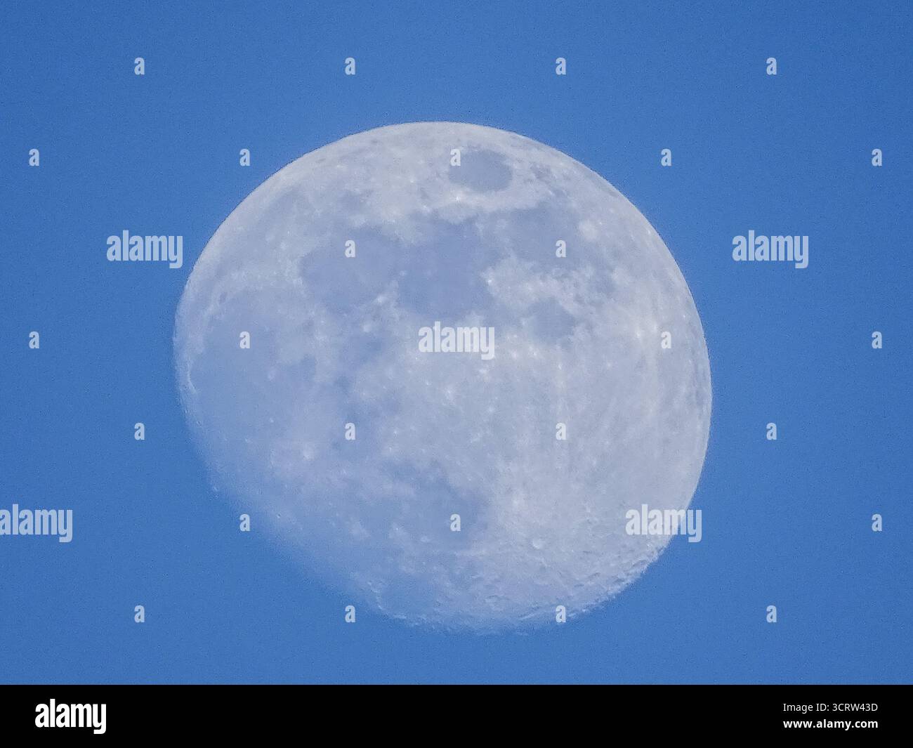 Presque pleine lune vu pendant la journée Banque D'Images