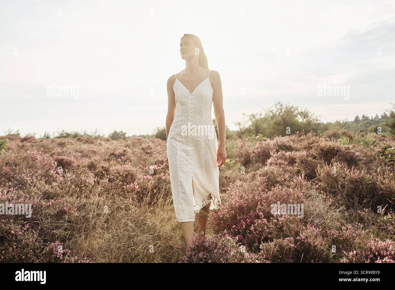 portrait de femme dans un champ de bruyère Banque D'Images