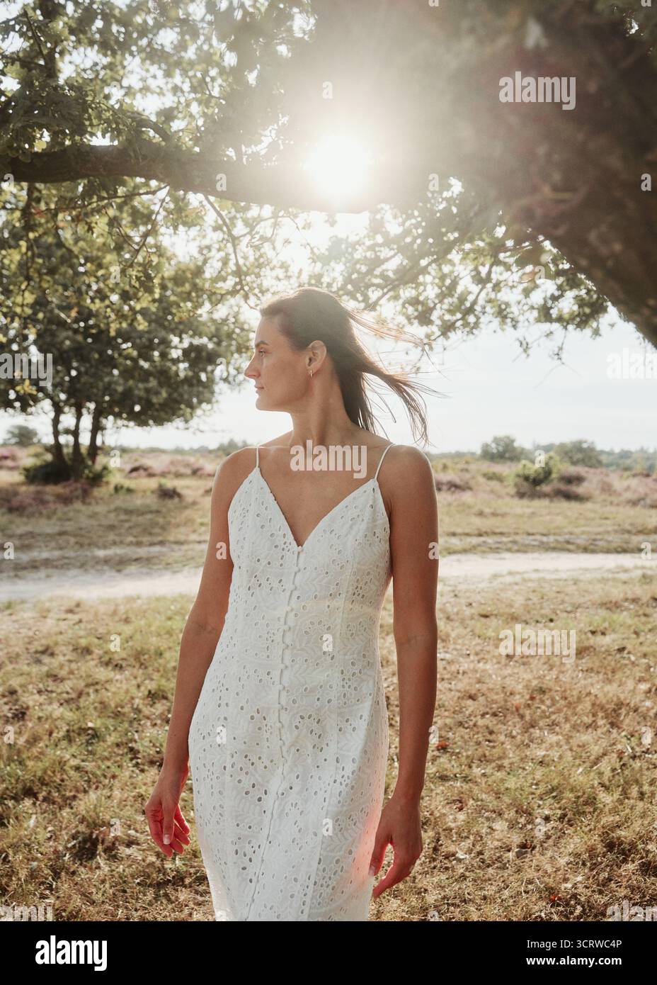 belle femme sous l'arbre dans le champ de bruyère Banque D'Images